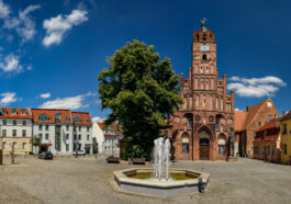 Bild: (c) ebenart/stock.adobe.com
