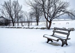 Garten winterfest machen – so geht‘s