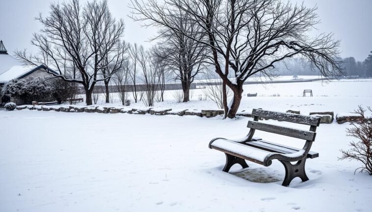 Garten winterfest machen – so geht‘s