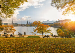Bild: (c) Jann/stock.adobe.com