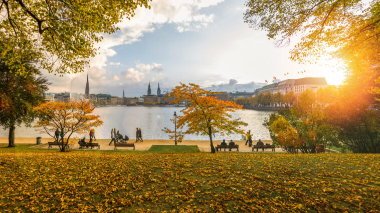 Bild: (c) Jann/stock.adobe.com